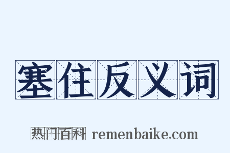 塞住反义词是什么意思的图片